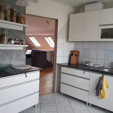 Wczasowisko Karola Apartamento Lubomierz  Exterior foto