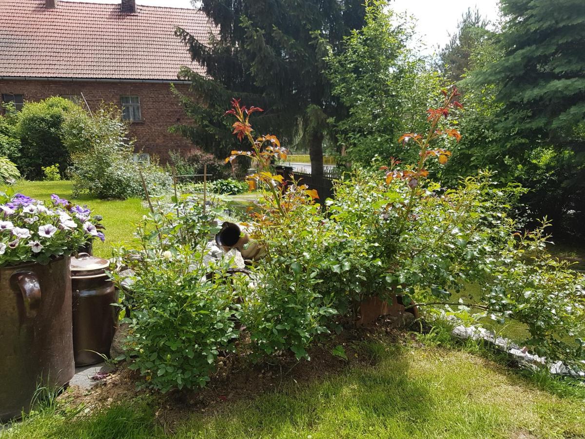 Wczasowisko Karola Apartamento Lubomierz  Exterior foto